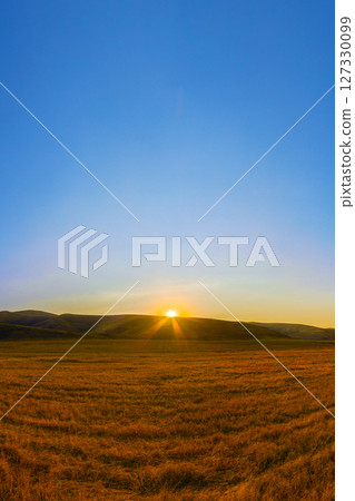 Sunrise over a harvested field with golden straw stubble under a clear blue sky. 127330099