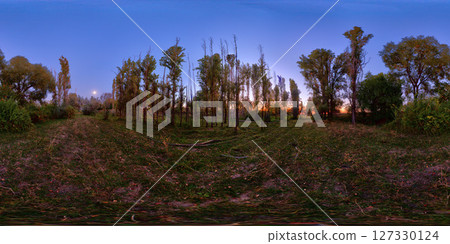 Spherical panorama of autumnal night in tall trees grove Spherical panorama of autumnal night in tall trees grove 127330124