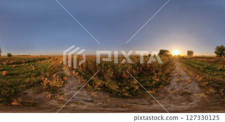 Spherical HDRi-like panorama of rural fields area at summer sunset Spherical HDRi-like panorama of rural fields area at summer sunset 127330125