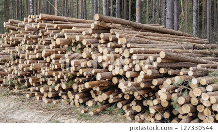 Wooden Logs with Forest on Background. Wood as a source renewable energy. Lumber industry. 127330544