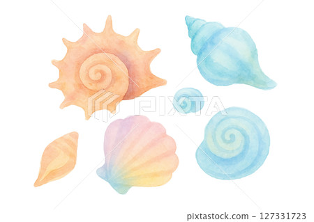 六幅色彩繽紛的貝殼水彩插圖 - 夏日海洋主題材料（剪切 PNG） 127331723