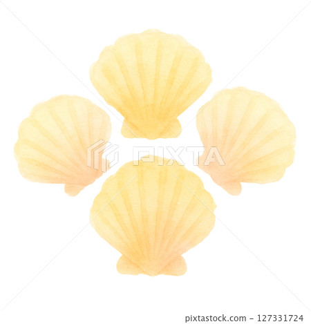 色彩柔和的扇貝殼,水彩風格的海洋插畫素材(剪切PNG) 色彩柔和的扇貝殼,水彩風格的海洋插畫素材(剪切PNG) 127331724