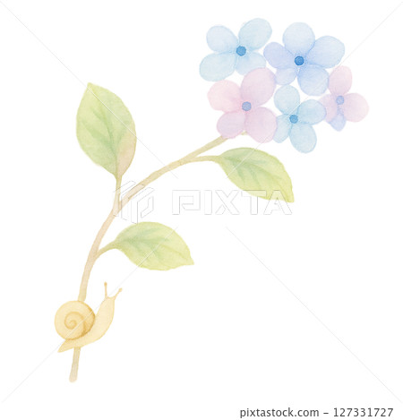 繡球花和蝸牛的簡單水彩插圖，雨季的溫柔裝飾材料（剪切PNG） 127331727