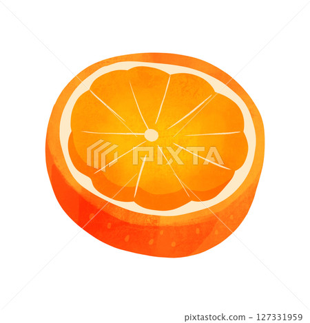 橙色橫切面水彩手繪插圖 127331959