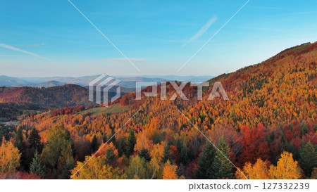 Aerial view of autumn forest in mountain Aerial view of autumn forest in mountain 127332239