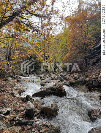 mountain river fast for waterfall rapids stream autumn. High quality photo 127332325