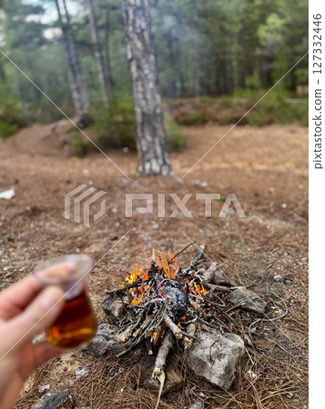 fire in pine forest hike rest. High quality photo fire in pine forest hike rest. High quality photo 127332446