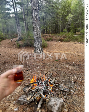 fire in pine forest hike rest. High quality photo 127332477