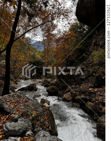 mountain river fast for waterfall rapids stream autumn. High quality photo 127332621