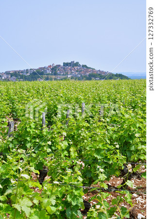 法國桑塞爾。 2025年6月9日，桑塞爾山頂村莊的遠景。 127332769