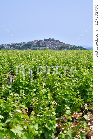 法國桑塞爾。 2025年6月9日,桑塞爾山頂村莊的遠景。 法國桑塞爾。 2025年6月9日,桑塞爾山頂村莊的遠景。 127332770