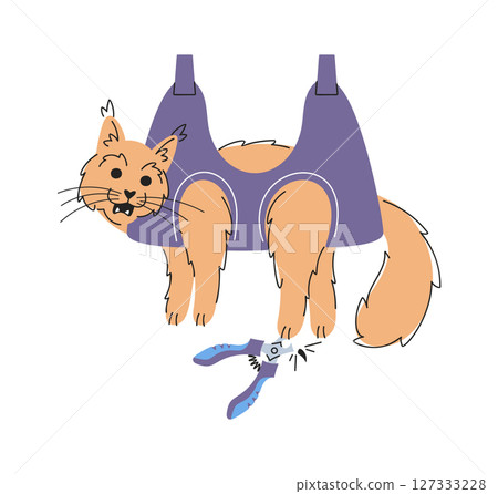 Hanged cat claw trimming cartoon Hanged cat claw trimming cartoon 127333228