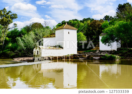 garden, river, scenery 127333339