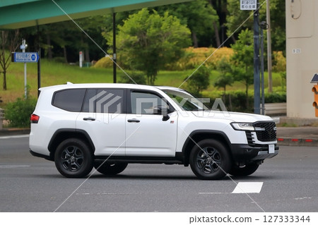 Domestic SUV image Domestic SUV image 127333344