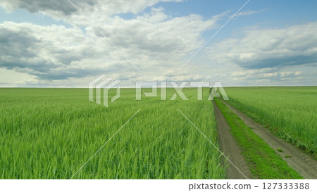 A Beautiful Landscape of a Lush Green Field Surrounded by a Cloudy Sky During Sunset A Beautiful Landscape of a Lush Green Field Surrounded by a Cloudy Sky During Sunset 127333388