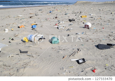 Coastal wreckage Environmental problems Garbage problems 127333470