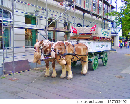 Two Horses standing with an old cart on the street with a Danish flag, Herning in Denmark Two Horses standing with an old cart on the street with a Danish flag, Herning in Denmark 127333492