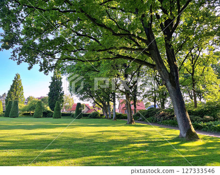 Summer day in public city park, Herning in Denmark 127333546