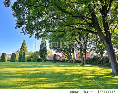 Summer day in public city park, Herning in Denmark 127333547