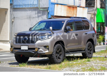 Domestic SUV image 127334084