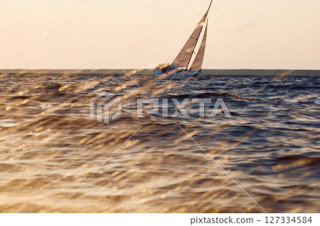 Sailing regatta in the Gulf of Finland at sunset, sailing yacht competing in a race, splashing water from under the boat, teamwork, board the boat 127334584