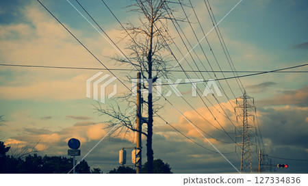 Sunset sky and power lines 127334836