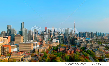 Toronto city skyline shows the cn tower and the university of toronto campus with its green spaces and surrounding buildings under a clear blue sky. Urban style concept Canada 127335339