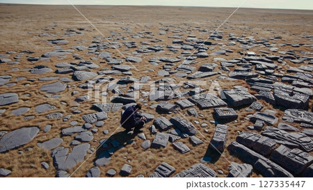 Wide shot of a geologist crouching down, meticulously examining ancient petroglyphs etched into large rocks scattered across a vast, desolate desert landscape Wide shot of a geologist crouching down, meticulously examining ancient petroglyphs etched into large rocks scattered across a vast, desolate desert landscape 127335447