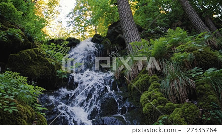 Crystal clear waterfalls cascade down mossy rocks, surrounded by vibrant green ferns and trees, creating a serene and picturesque natural landscape 127335764