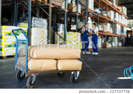 Large cargo trolley stands in premises of store-warehouse of construction and repair materials. Large cargo trolley stands in premises of store-warehouse of construction and repair materials. 127337736