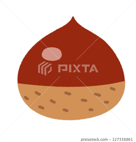 Simple hand drawn chestnut illustration 127338861