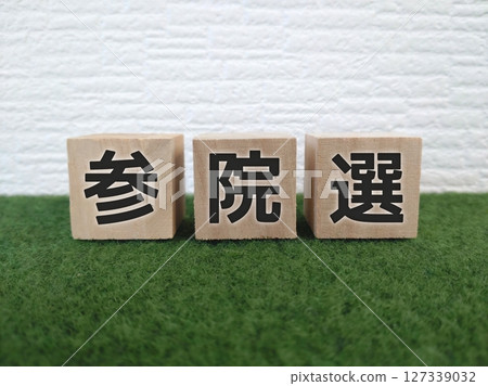 眾議院選舉 眾議院選舉 127339032