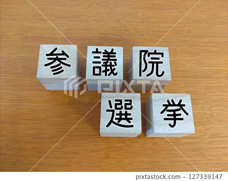 House of Councillors election 127339147