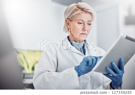 Tablet, thinking and science with a doctor woman at work in a lab for research, innovation or development. Healthcare, medical and idea with a senior female scientist working in a laboratory Tablet, thinking and science with a doctor woman at work in a lab for research, innovation or development. Healthcare, medical and idea with a senior female scientist working in a laboratory 127339285