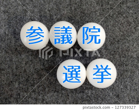 House of Councillors election House of Councillors election 127339327