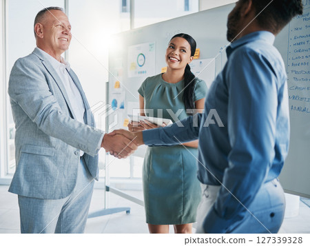 Teamwork, collaboration and business people handshake for partnership, b2b or hiring contract. Welcome, thank you and group, employees or workers shaking hands for onboarding, recruitment or deal. Teamwork, collaboration and business people handshake for partnership, b2b or hiring contract. Welcome, thank you and group, employees or workers shaking hands for onboarding, recruitment or deal. 127339328