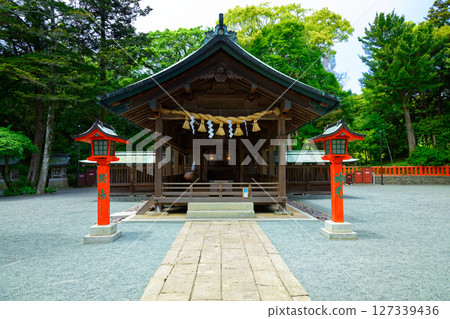 宗像大社中津神社照美真光 127339436