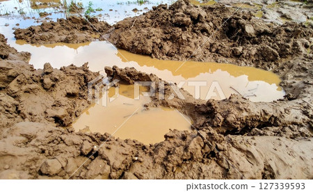 Muddy land and puddles 1 127339593