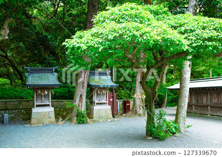 Munakata Shrine Nakatsunomiya 127339670