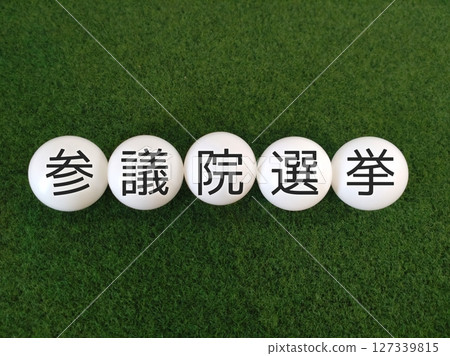 House of Councillors election House of Councillors election 127339815