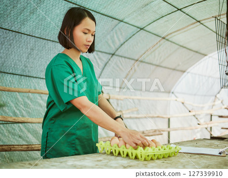 Farm, eggs and agriculture with a farmer asian woman working in a greenhouse for sustainability. Food, produce and free range with a female farming employee at work in the agricultural industry Farm, eggs and agriculture with a farmer asian woman working in a greenhouse for sustainability. Food, produce and free range with a female farming employee at work in the agricultural industry 127339910