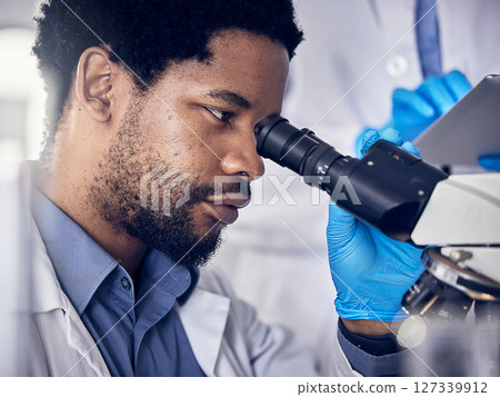 Black man, scientist and microscope with science research in laboratory, data analysis and expert with scientific or medical innovation. Phd doctor, face and biotechnology, chemistry and study in lab Black man, scientist and microscope with science research in laboratory, data analysis and expert with scientific or medical innovation. Phd doctor, face and biotechnology, chemistry and study in lab 127339912