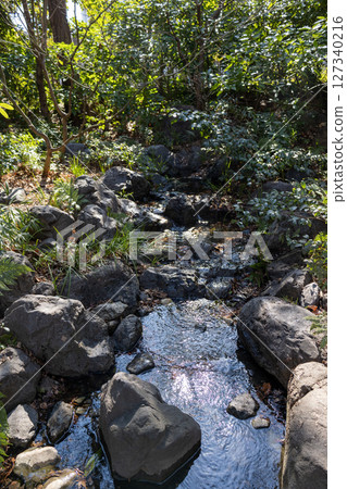 Small river in the garden Small river in the garden 127340216