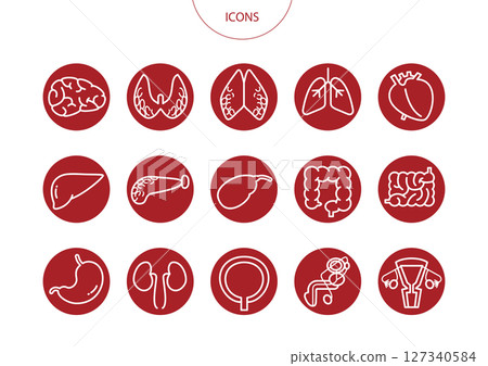器官圖示象形文字向量插圖集 127340584
