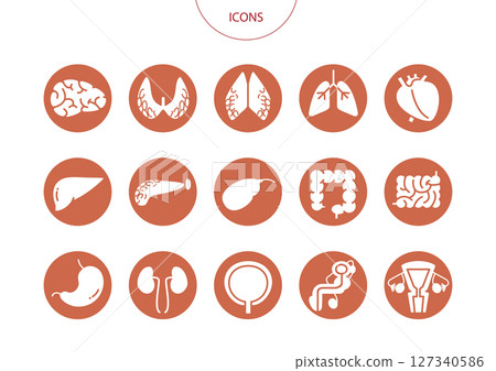 Organ icon pictogram vector illustration set 127340586