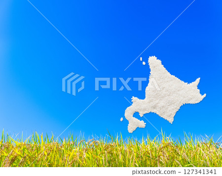 用米製作的北海道地圖 用米製作的北海道地圖 127341341