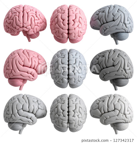 a set of medical images depicting intelligence and cerebral health 127342317