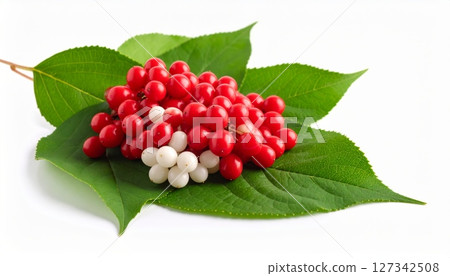 Vibrant red rose hips with green leaves isolated on white, resembling ripe berries or a sweet fruit 127342508
