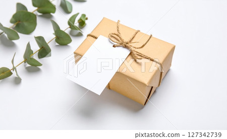 Wrapped Gift with tag: A beautifully wrapped gift adorned with a blank tag rests beside sprigs of delicate foliage, creating a scene of understated elegance and anticipation. 127342739