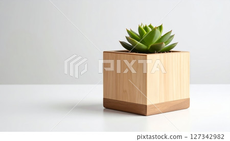 Modern style wooden pot with succulent plants 127342982